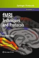 bokomslag fMRI Techniques and Protocols