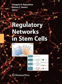 bokomslag Regulatory Networks in Stem Cells