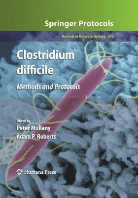 bokomslag Clostridium difficile