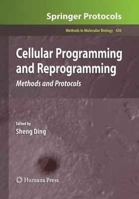 Cellular Programming and Reprogramming