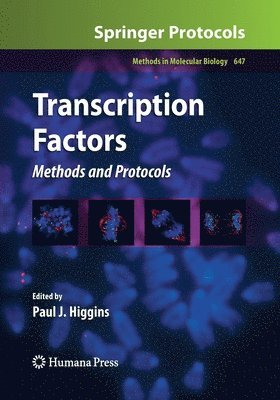 Paul J. Higgins - Transcription Factors, Häftad