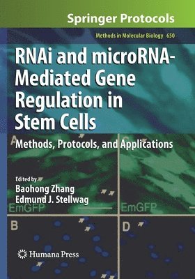 bokomslag RNAi and microRNA-Mediated Gene Regulation in Stem Cells