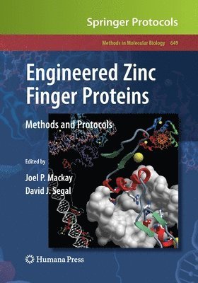 bokomslag Engineered Zinc Finger Proteins