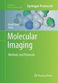 bokomslag Molecular Imaging