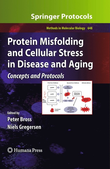 bokomslag Protein Misfolding and Cellular Stress in Disease and Aging