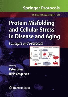 Protein Misfolding and Cellular Stress in Disease and Aging 1