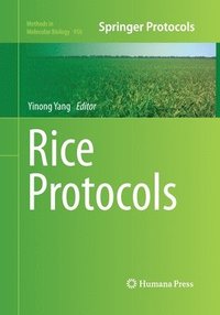 bokomslag Rice Protocols