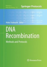 bokomslag DNA Recombination