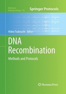 bokomslag DNA Recombination