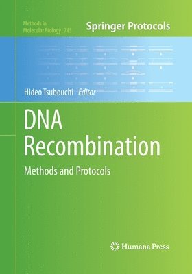 DNA Recombination