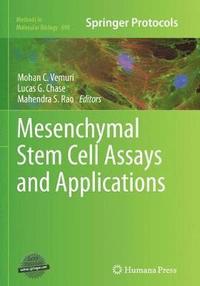 bokomslag Mesenchymal Stem Cell Assays and Applications