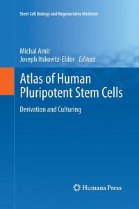 bokomslag Atlas of Human Pluripotent Stem Cells