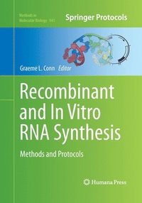 bokomslag Recombinant and In Vitro RNA Synthesis
