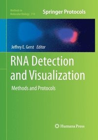 bokomslag RNA Detection and Visualization