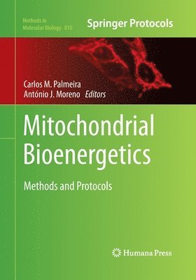 bokomslag Mitochondrial Bioenergetics