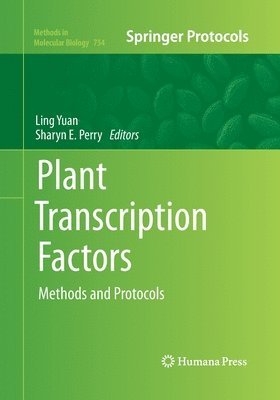 bokomslag Plant Transcription Factors