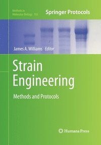 bokomslag Strain Engineering