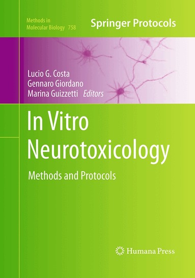 Lucio G. Costa, Gennaro Giordano, Marina Guizzetti - In Vitro Neurotoxicology, Häftad
