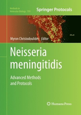 Neisseria meningitidis 1