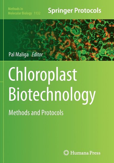 bokomslag Chloroplast Biotechnology