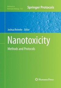 bokomslag Nanotoxicity