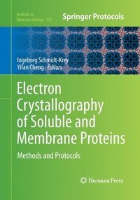 bokomslag Electron Crystallography of Soluble and Membrane Proteins