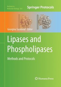 bokomslag Lipases and Phospholipases