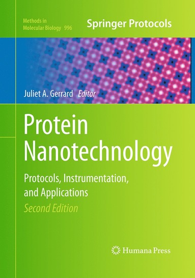 bokomslag Protein Nanotechnology