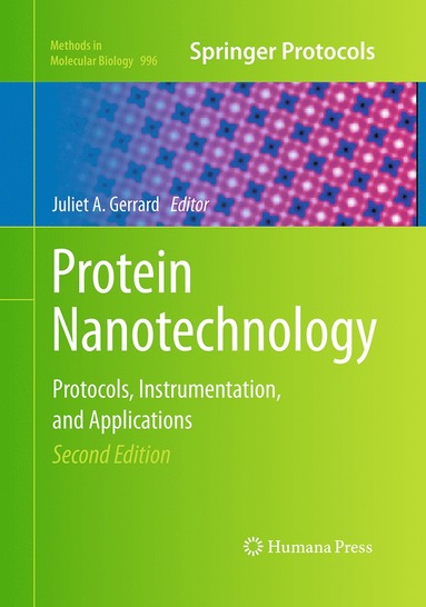 bokomslag Protein Nanotechnology