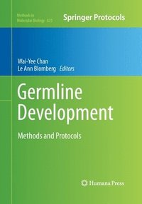 bokomslag Germline Development