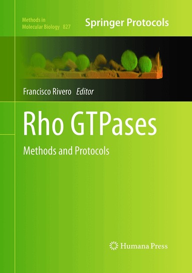 Francisco Rivero - Rho GTPases, Häftad