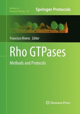 Francisco Rivero - Rho GTPases, Häftad