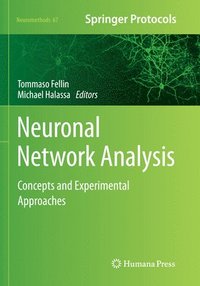 bokomslag Neuronal Network Analysis