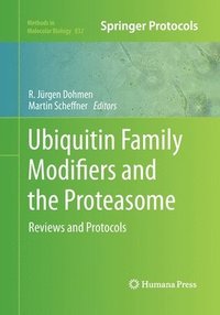 bokomslag Ubiquitin Family Modifiers and the Proteasome