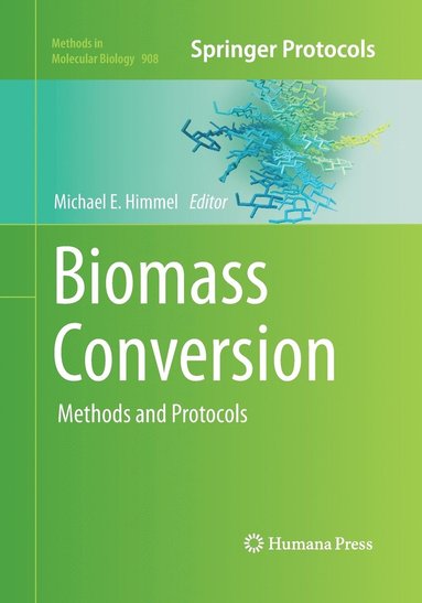 bokomslag Biomass Conversion