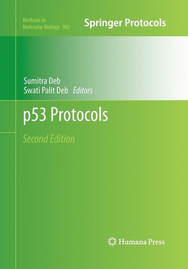 bokomslag p53 Protocols