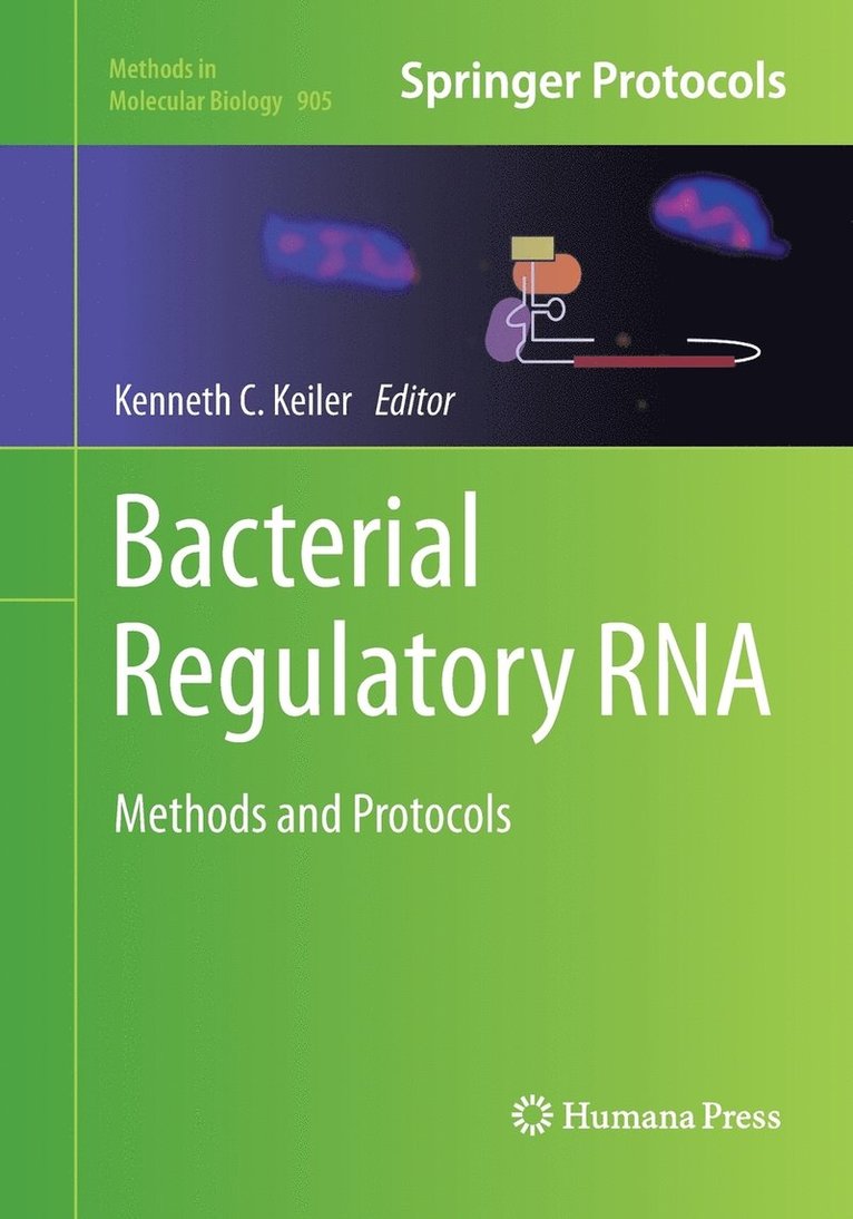 Bacterial Regulatory RNA 1