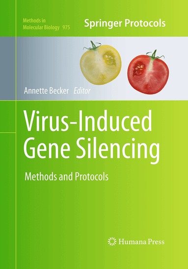 Annette Becker - Virus-Induced Gene Silencing, Häftad