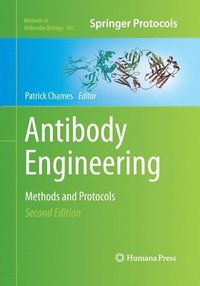 bokomslag Antibody Engineering