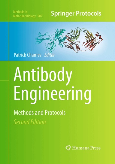 Patrick Chames - Antibody Engineering, Häftad