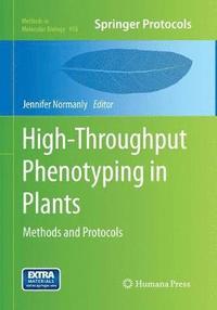 bokomslag High-Throughput Phenotyping in Plants