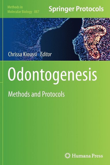 bokomslag Odontogenesis