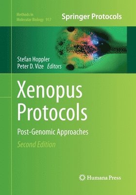 bokomslag Xenopus Protocols