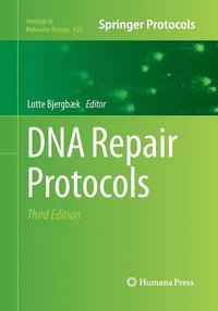 bokomslag DNA Repair Protocols