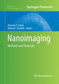 bokomslag Nanoimaging