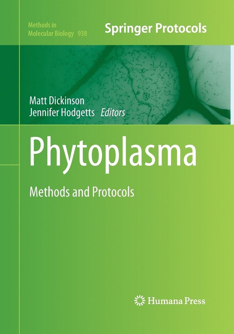 Phytoplasma 1