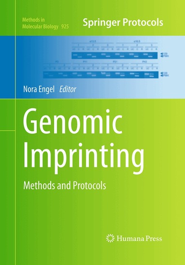 Nora Engel - Genomic Imprinting, Häftad
