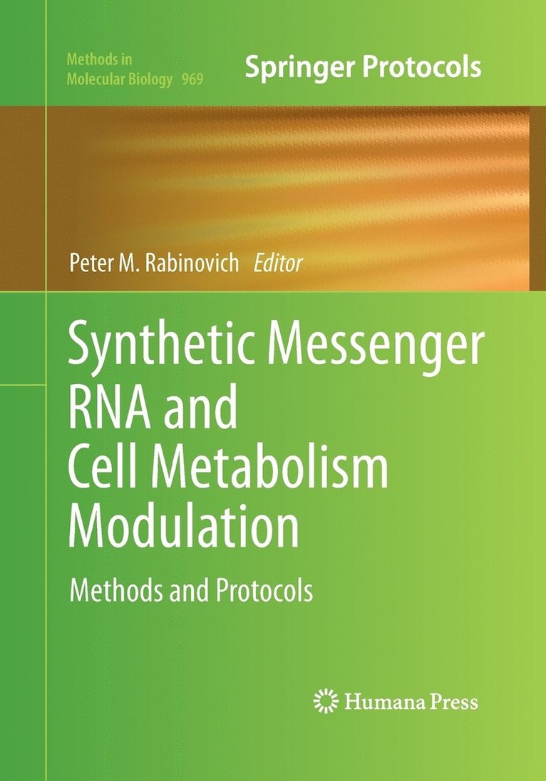 Peter M. Rabinovich - Synthetic Messenger RNA and Cell Metabolism Modulation, Häftad