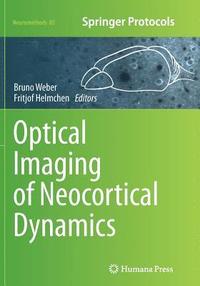 bokomslag Optical Imaging of Neocortical Dynamics