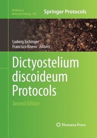 bokomslag Dictyostelium discoideum Protocols